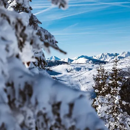 Hotel Barbara Schladming